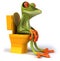 Frog and toilets