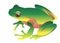 Frog vector toad green small illustration