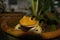 Frog Whitey Golden( is name Koki )