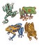 frogs colored bright tropical wildlife animals amphibians reptiles set separately