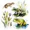 Frogs in Love: Watercolor Collection of Cute Frog Stock Photo AI Generated