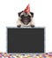 Frolic smiling birthday party pug dog with hat and confetti and paws on blackboard sign