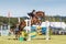 Frome, Somerset, UK, 14th September 2019 Frome Cheese Show Chestnut horse clearing obstacle in showjumping class