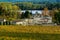 Fronsac Vineyard landscape, Vineyard south west of France