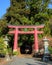 In front of Asama Shrine near Lake Kawaguchi