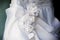 Front of bride in wedding dress