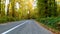 Front camera in autumn forest, autumn foliage and curvy road