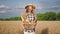 In front of the camera country lady farmer holding a box full of fresh baking bread in the middle of wheat field she