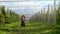 In front of the camera large and modern organic orchard group of farmers walking through the orchard and analyzing the