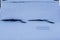 The front of a car fully covered in white snow, only showing the window wipers, cold winter weather conditions