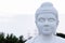 Front close up of a white Buddha statue in peaceful meditative pose shot using prime lens