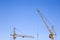 Front distant view of two cranes on a light blue sky background