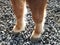 Front feet of a ginger-haired horse standing on grey pebbles