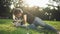 Front footage of a caucasian woman in jeans and black T shirt lying on the green grass in the park and playing with her