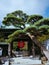 Front gate of Hasedera Temple in Kamakura