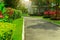 The front lawn yard in a beautiful garden and gray road with green and red leaves shurb of a house landscaping