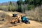 A front loader loads waste into a tractor when building a road in a forested area