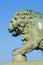 The front part of the lion sculpture near the Palace bridge closeup. Saint Petersburg