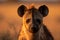 front portrait of a hyena in a blurred brown field