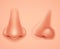 Front Profile Human Nose Realistic Background Isolated 3d Design Vector Illustration