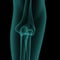 Front x-ray view of human elbow