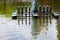 Front side veiw of a green water turbine for treatment in the pond in the park