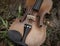 Front side of violin put on green grass ground floor,plenty of blurred dried leaves