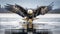 Front view of a bald eagle striking the surface of a lake, claws first, made with generative ai