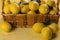 Front view of basket of lemons on yellow surface