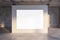 Front view on big blank white poster with space for your text or advertising logo on sunlit beige partition in empty concrete hall