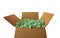 Front view of corrugated cardboard box full of pieces of green plastic foam