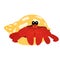 Front view of cute cartoon hermit crab isolated on white background. Crab icon vector. Hand drawn childish vector illustration.