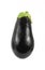 Front View Eggplant