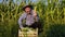 Front view elderly smile male farmer looking at camera, in a cornfield,