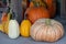 Front View of Farmers Market group of pumpkins