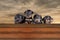 Front view of four Jack russel puppy heads, standing behind a wooden wall. Dramatic brown sky with clouds in the