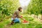 Front view girl farmer touch with hand carefully examines apple lying in wooden box on the ground.