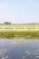 Front view of green agricultural field with white fence,lake and sky