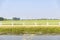 Front view of green agricultural field with white fence,lake and sky