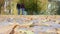 Front view of a loving couple walking in the autumn park at daytime. Close-up of romantic young loving couple walking in