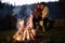 Front view of loving tourists sitting by a bright burning campfire near a tent on a campsite enjoying a beautiful autumn