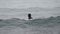 Front view male surfer in black wetsuit lying on front on surfboard cruising along breaking wave in sea and looking