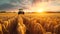 Front view of modern automated combine harvesting wheat ears on a bright summer day. Grain harvester in a vast golden