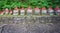 Front view of moss covered statues of Jizo in Nikko