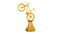 Front View of Mountain Bike Gold Trophy in Infinite Rotation