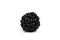 Front view of one isolated organic shiny black berry on white background