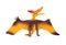 Front view orange pterosaurs toy on white background