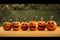 front view pumpkins with orange background generative ai