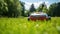 Front view of a robot lawn mower on summer meadow in the garden