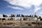 Front view of rows of mailboxes in desert